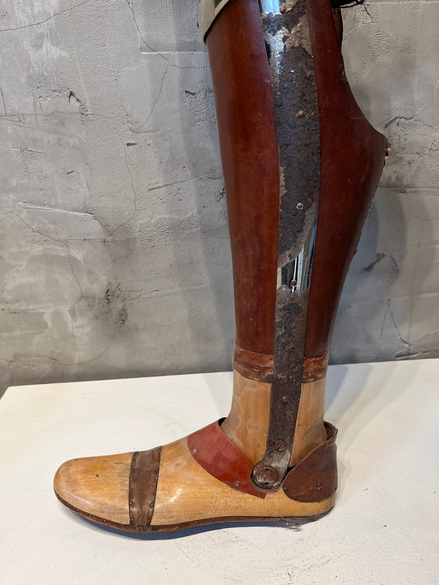 Artificial Left Prosthetic Limb