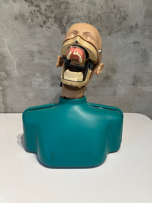 Dental Phantom Head Simulator Unit