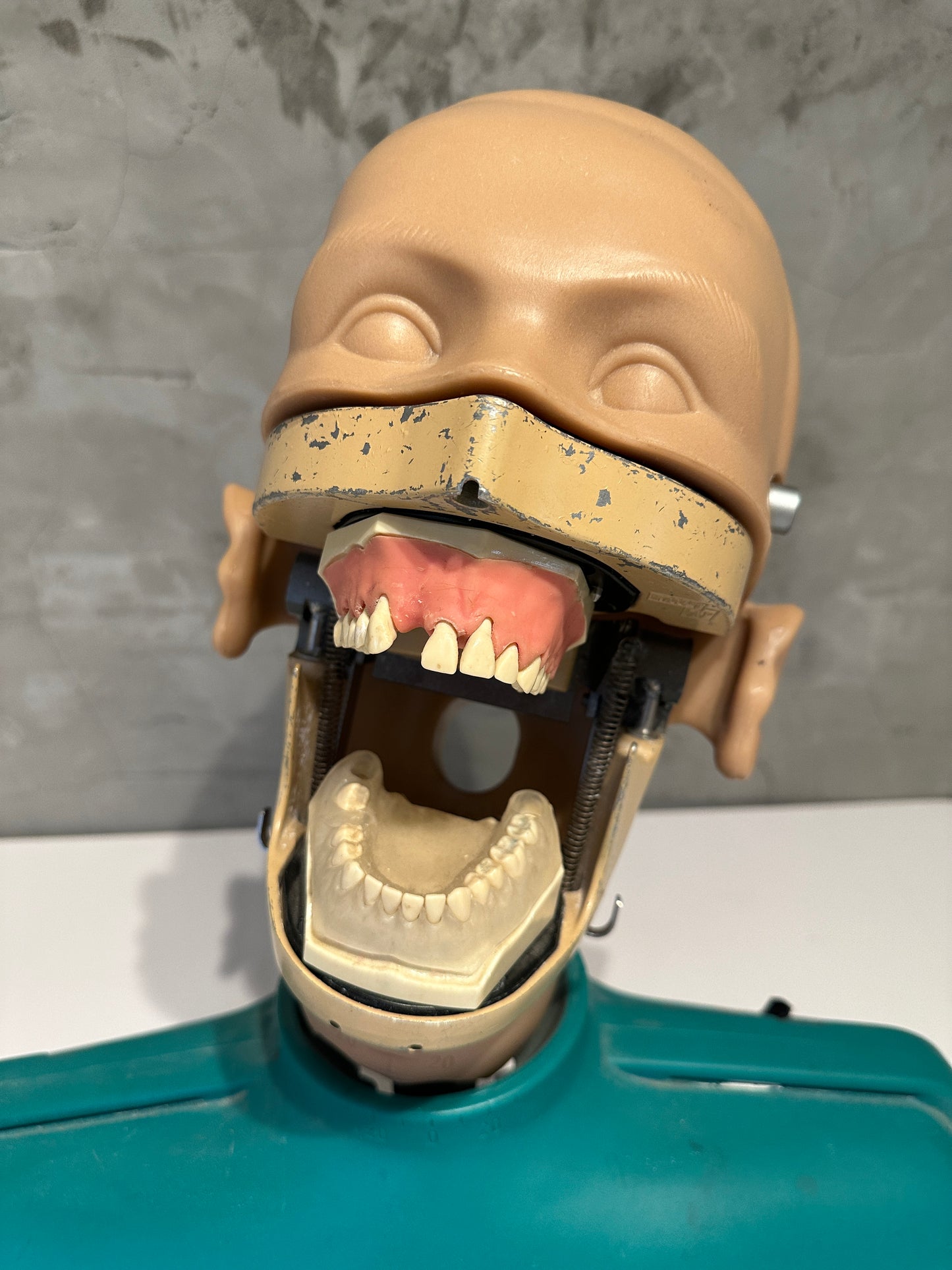 Dental Phantom Head Simulator Unit