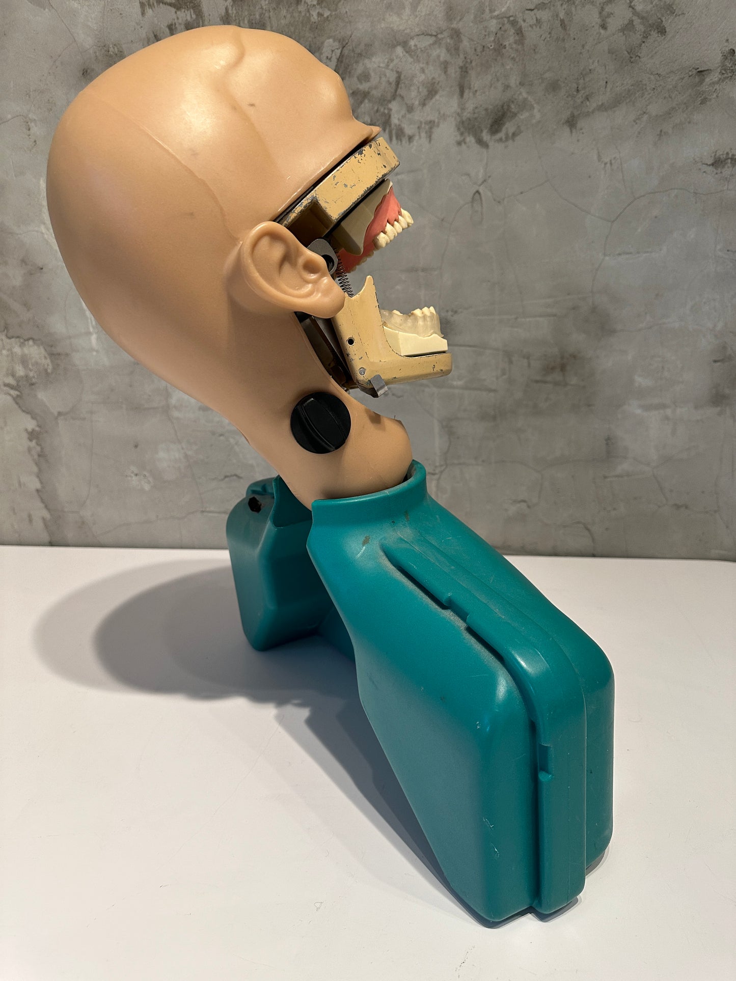 Dental Phantom Head Simulator Unit