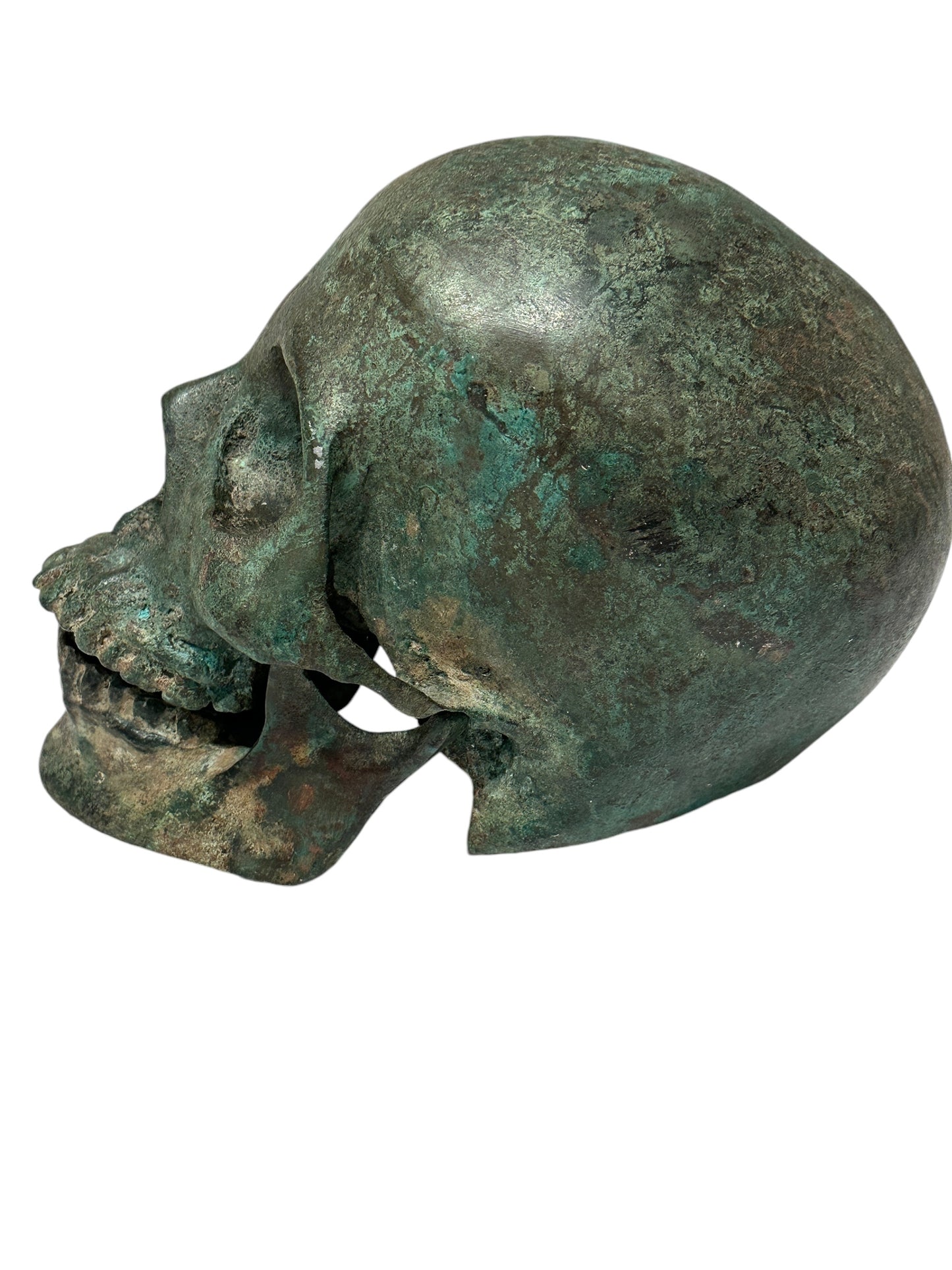 Life Size Bronze Skull with Articulated Jaw