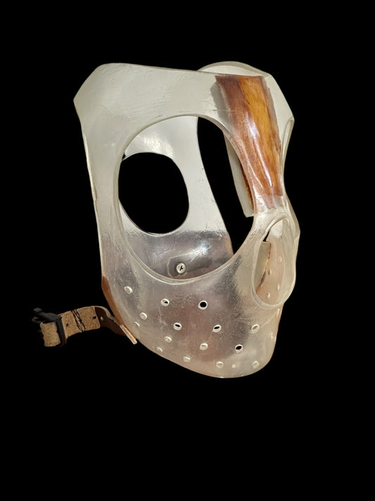 Asylum Patient Restraint Pica Mask