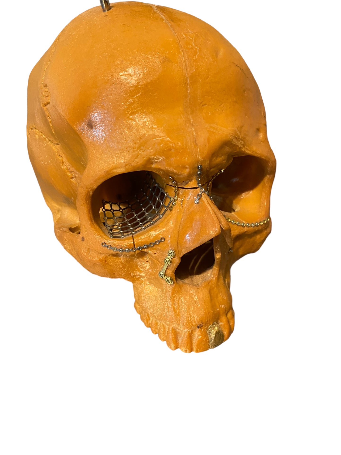 Vtg Facial Reconstructive Medical Model Surgery Skull